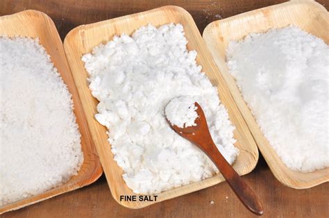 White Nice Powder Form Pickling Salt, Packaging Size: 50 Kg at Rs 2200 ...