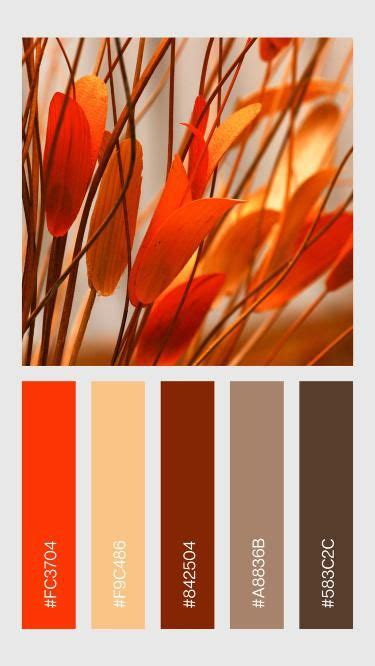 Color Palette: Golden Sunset Blooms | Creative decor, Color palette, Color