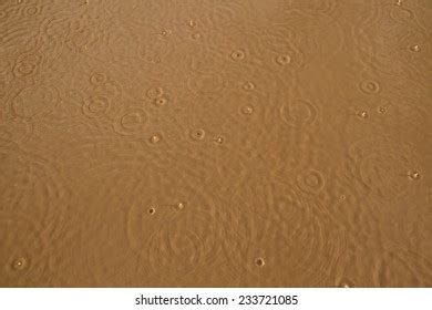 14,830 Muddy Water Texture Images, Stock Photos & Vectors | Shutterstock