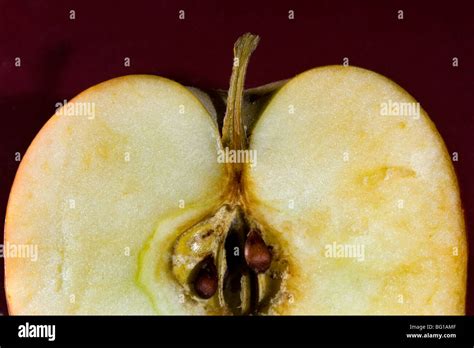 Cross section of apple Stock Photo - Alamy