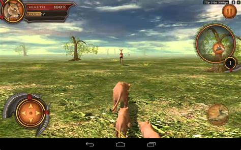 Lioness Simulator-Android HD Gameplay - YouTube