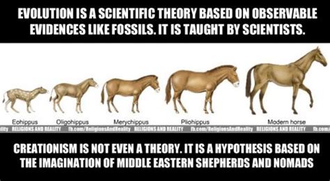 creationist meme - Google Search | Evolution, Atheist, Theories