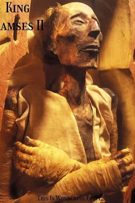 New secrets about mummification discovered in Egypt en 2021 | Momias de ...