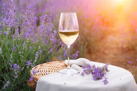 13 Best Provence Wine Tours From Nice & Beyond (2024) - GTE