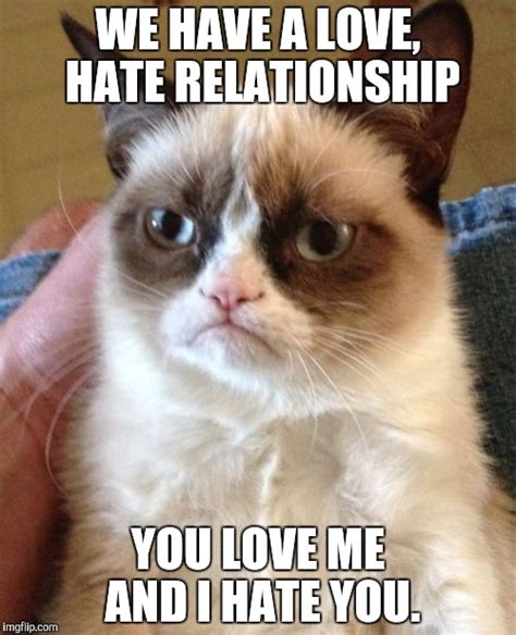 Grumpy Cat Meme - Imgflip