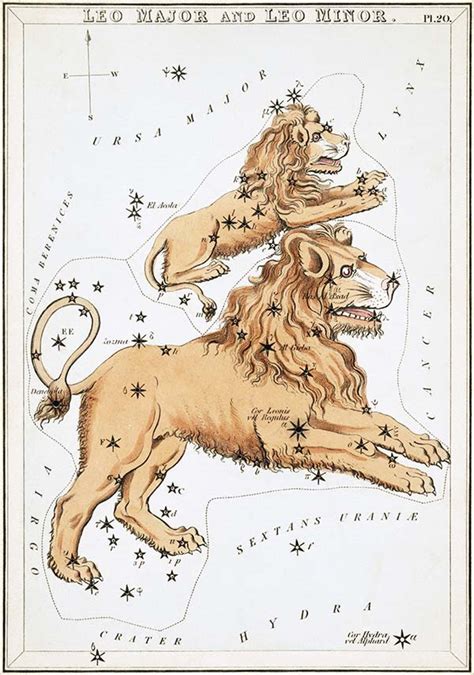 Leo Constellation for Kids. Facts, Myth, and photos.