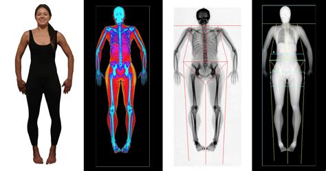 How a DEXA Body Fat, Muscle, and Bone Scan Can Help You Get Fit