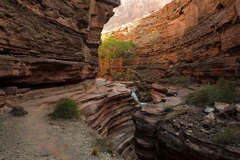 LOWER DEER CREEK CANYON. GRAND CANYON NATIONAL PARK - ADAM HAYDOCK