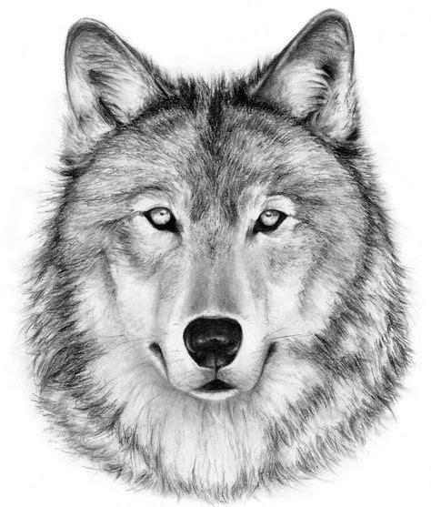 Wolf Charcoal Drawing GICLEE PRINT - Wolf Decor - Black and White Art ...