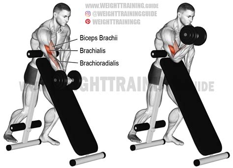 Standing dumbbell preacher curl exercise instructions and video