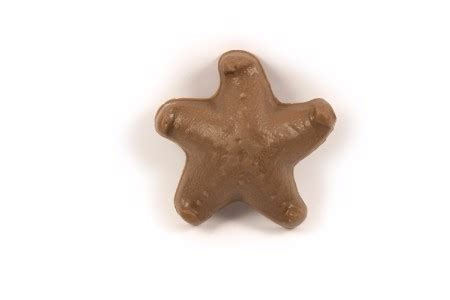 Chocolate Starfish (Flat) • Dunmore Candy Kitchen