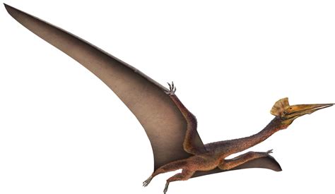 Quetzalcoatlus | Quetzalcoatlus Facts | DK Find Out