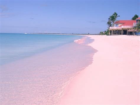 The Unique Pink Sands Beach in Harbour Island, the Bahamas - Places To ...