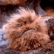 Fizgig Whine GIF - Fizgig Whine Fizz - Discover & Share GIFs