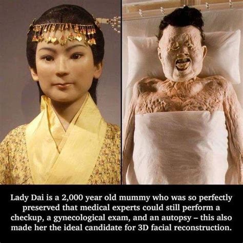 Lady Dai is a 2,000 year old mummy who was so perfectly preserved that ...