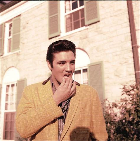 Elvis Presley's Graceland | Elvis presley graceland, Elvis presley ...