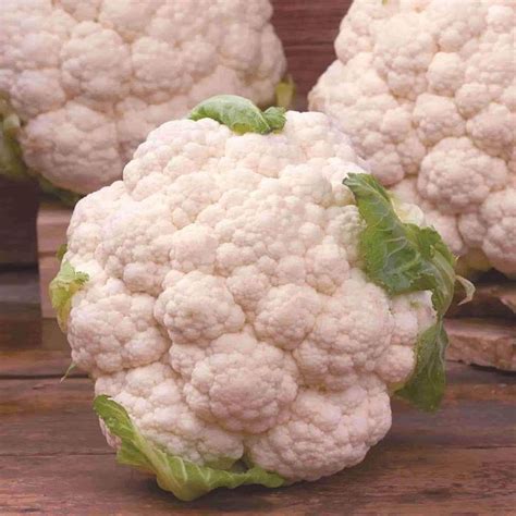 Cauliflower Snowball X