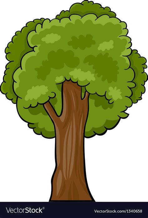 Cartoon of deciduous tree vector image on VectorStock | Tree cartoon ...