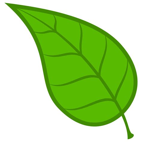 Clip Art Green Leaf