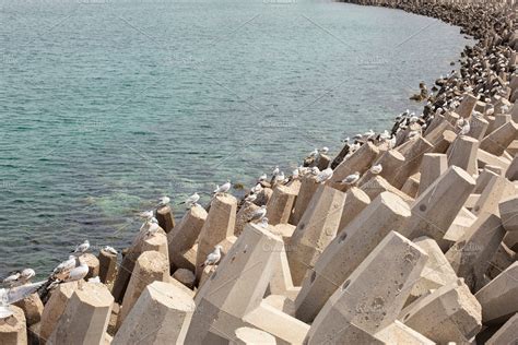 Wave breaker with seagulls in Muscat | High-Quality Architecture Stock ...