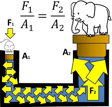 Formulas | Flashcards