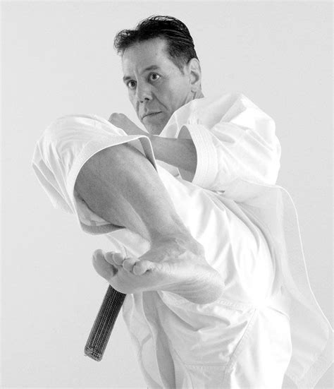 Mawashi geri | Shotokan karate, Karate, Martial arts