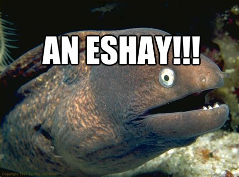 An eshay!!! - Bad Joke Eel - quickmeme