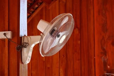 11 Best Horse Stall Fans For Barn - horses-arizona.com