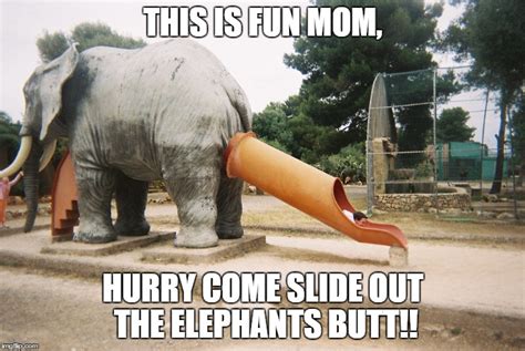 10++ Funny Elephant Memes Pictures - Factory Memes