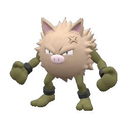 Primeape - #057 - Serebii.net Pokédex