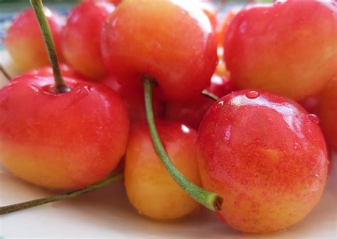 The Rainier Cherry | Alan Ilagan