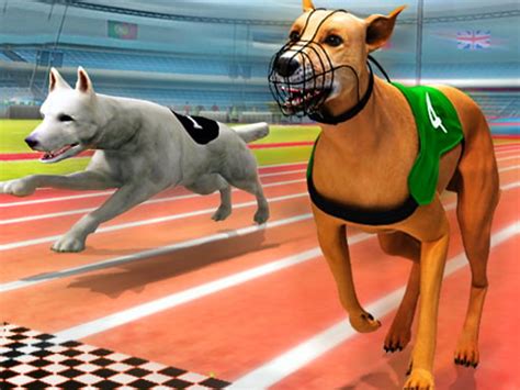 Real Dog Racing Simulator 3D Game - Play online at GameMonetize.co Games