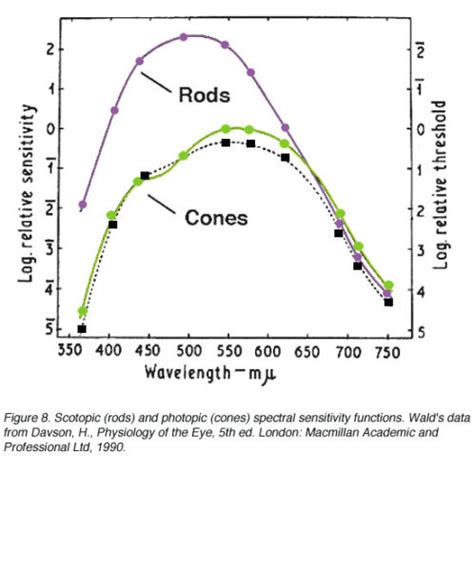 rods-cones-night-vision-color - Survival Skills Guide