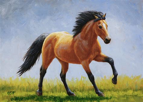 Buckskin Horse Images