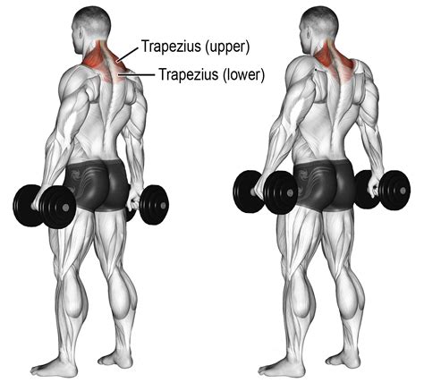 TOP 3 SHOULDER WORKOUT