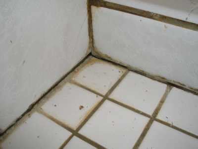 Replace Bathroom Tile Grout – Everything Bathroom