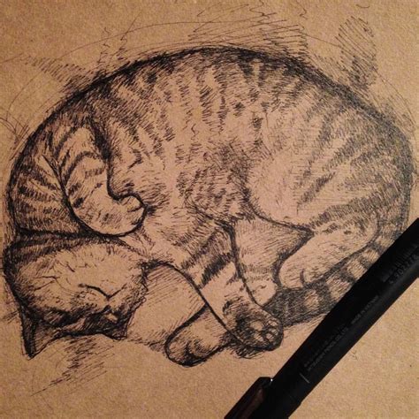 Sleeping Cat Drawing ~ Sleeping Cat By Peacekittyewf On Deviantart ...