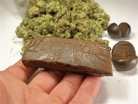 Hashish-What-is-cannabis - Abuse-Drug.com