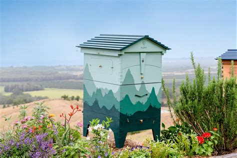 Flow Hive takes the hassle out of honey harvesting