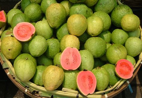 Health Benefits of Guava Seeds Amrud Ke Beej Ke Fayde | Guava Seeds ...