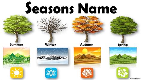 Learn Seasons Name| Season in the Year | Name of Four Seasons | Basic ...