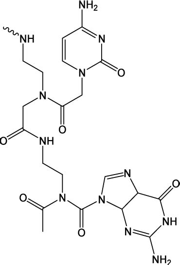 Chemical structure of peptide nucleic acids. | Download Scientific Diagram