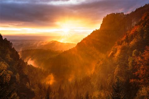 Forest Valley Day Starting Calming Sunrise 5k Wallpaper,HD Nature ...