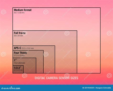 Digital Camera Sensor Sizes Comparison Stock Illustration ...