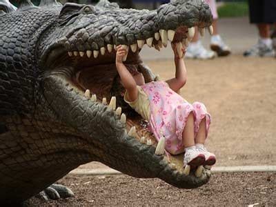 Latest Funny Pictures: Funny Crocodile Photoes