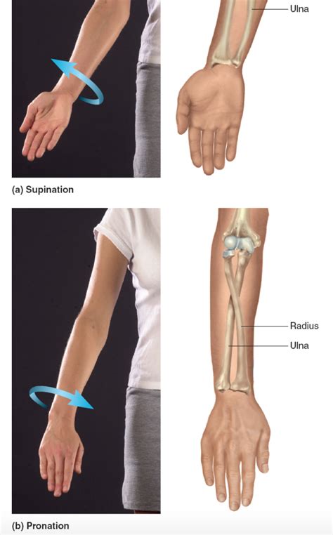 Pin on Chapter 9: Joints