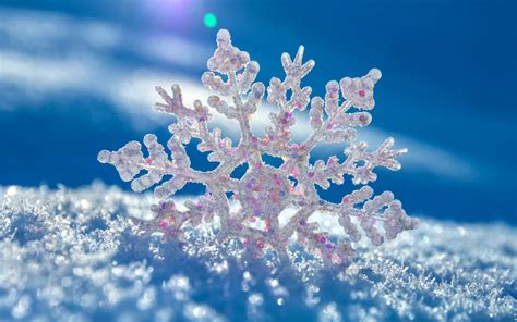 Download Nature Snowflake HD Wallpaper