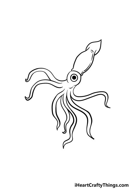 Easy Squid Drawing