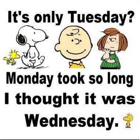 It’s only #Tuesday ? | Snoopy funny, Snoopy quotes, Tuesday humor