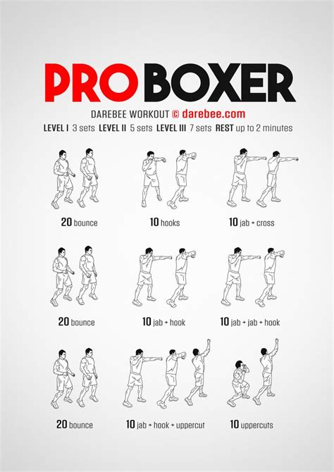 Pro Boxer Workout | Boxer workout, Boxing workout routine, Boxing workout